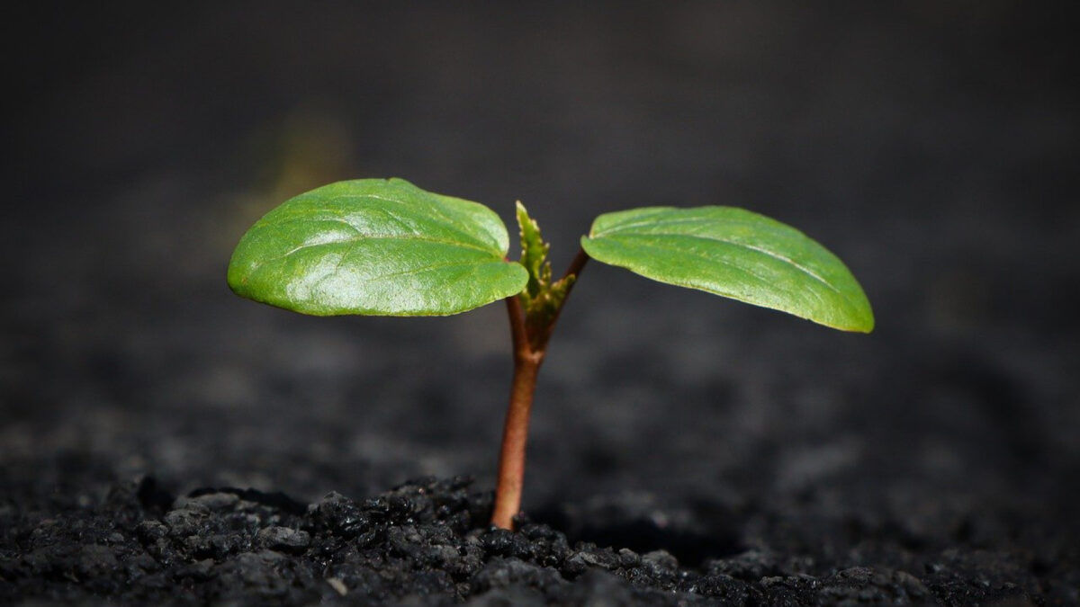 Quelles formations pour les entreprises en transition écologique ?